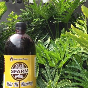 CHAI 1 LÍT MẬT RỈ ĐƯỜNG CHẤT LƯỢNG CAO