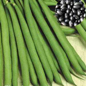 Gói 20gr hạt giống đậu đũa hạt đen dạng leo - thegioiraumam