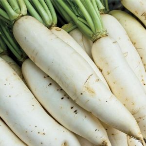 Gói 20GR hạt giống Củ Cải Hà Nội Cao Sản (Giống cải muối dưa)