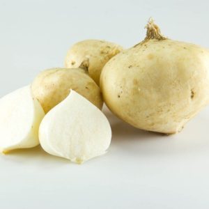 Gói 5g hạt giống củ đậu - củ sắn lai F1