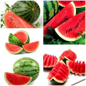 Gói 1GR hạt giống Dưa Hấu Thành Long F1 SV 533