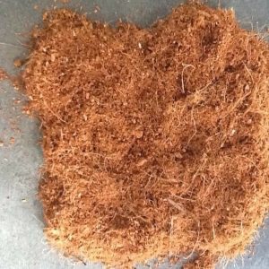 Xơ dừa (gói 2dm3) - CayGiongTot