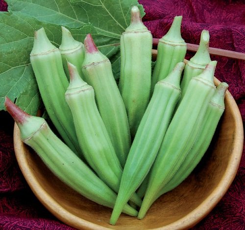 Gói 10GR hạt giống Đậu Bắp Cao Sản SV No 1 (Trái xanh, tay lá tím)