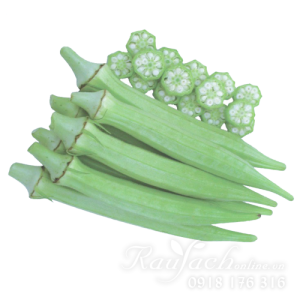 Gói 20g hạt giống đậu bắp cao sản sinh trưởng khỏe kháng bệnh tốt dễ gieo trồng và chăm sóc