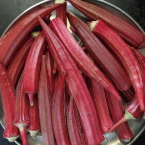 Gói 1g hạt giống đậu bắp đỏ cao sản