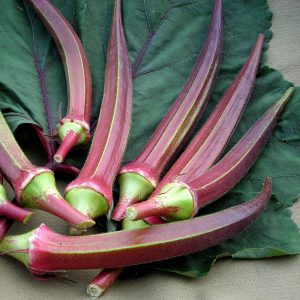 Gói 1g hạt giống đậu bắp đỏ cao sản