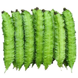 Gói 5g hạt giống đậu rồng cao sản