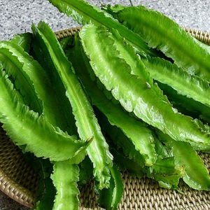 Gói 5g hạt giống đậu rồng cao sản