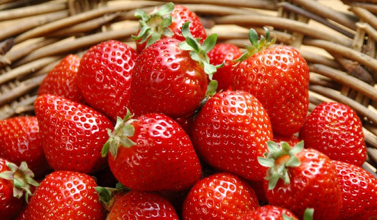 dau-tay-2-1-4-1 Tại sao bạn nên ăn dâu tây?