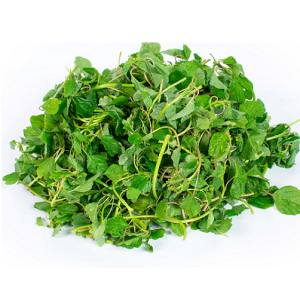 Gói 10gr hạt giống rau dền cơm