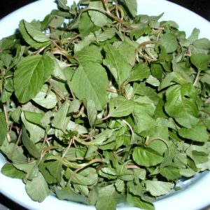 Gói 10gr hạt giống rau dền cơm