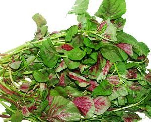 Gói 20g hạt giống rau dền Tiều xanh đỏ - Nanuseeds