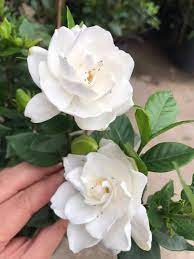 download-1-33e12b63-e681-46e9-9fe4-ba77ca030fe6-1