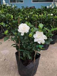 download-2-dbb29aa5-d24e-43d1-a649-0e46f7b7ab62-1