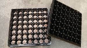 Khay ươm 49 lỗ chuyên dụng cho viên nén ươm hạt loai 1 dày, bền, đẹp