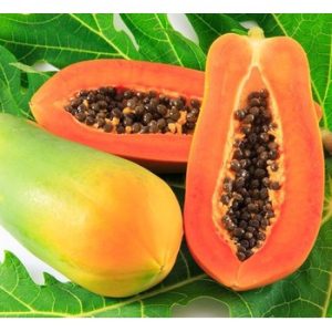 Gói lớn 250 hạt giống đu đủ ruột đỏ hồng phi