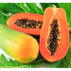 Gói lớn 250 hạt giống đu đủ ruột đỏ hồng phi