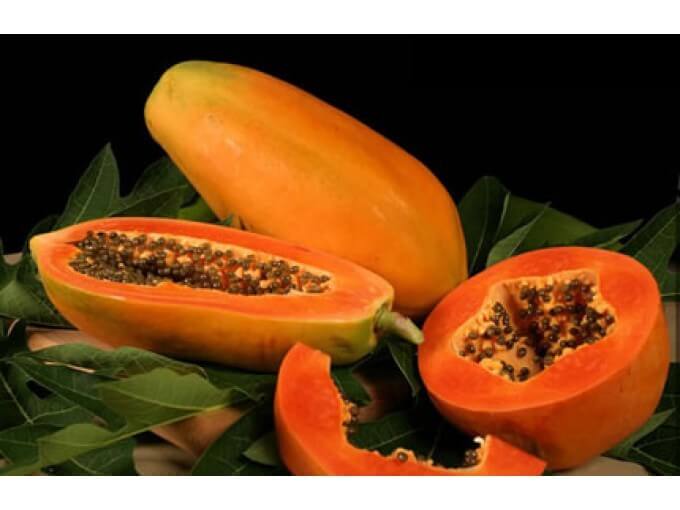 du-du-do-5-9e850047-83bf-4efa-8f88-5649ae2aee5f Gói lớn 250 hạt giống đu đủ ruột đỏ hồng phi