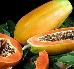 Gói 5 hạt giống đu đủ lùn Thái Lan F1 Quý Phi