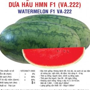 Gói 1g hạt giống dưa hấu F1