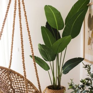 Gói 1GR hạt giống hoa Chuối Cảnh Nhiều Màu