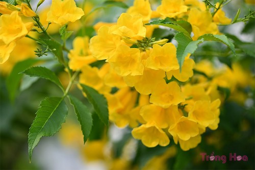 efdbeaf325c89566013899e94f136f0a