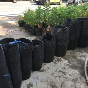 [Combo 50 cái] chậu nhựa đen C13 mềm dẻo trồng cây nhỏ, ươm cây con KT: 34x29x28.5cm