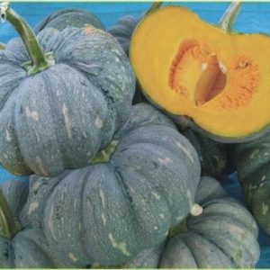 Gói 5 hạt giống Bí Đỏ Thái Lan F1 SV 551