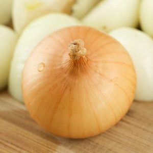 Gói 1g hạt giống hành củ