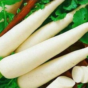 Gói 20GR hạt giống Củ Cải Hà Nội Cao Sản (Giống cải muối dưa)