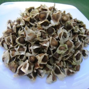 gói 1kg hạt giống cây chùm ngây