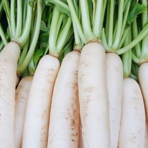 Combo sỉ 5kg củ cải trắng New Zealand size hạt to loại ko bao bì