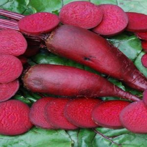 GÓI 20GR HẠT GIỐNG CỦ CẢI ĐỎ DÀI NO 1