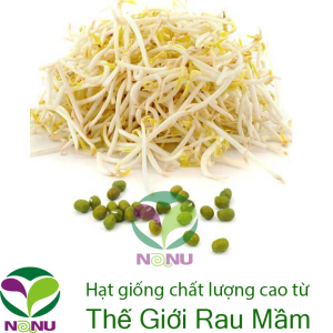 Gói 20g Hạt Giống Rau Mầm Đậu Xanh (Đậu làm Giá Đỗ)_ Thế Giới Rau Mầm