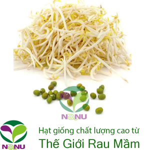 Gói 100g Hạt Giống Rau Mầm Đậu Xanh (Đậu làm Giá Đỗ)_ Thế Giới Rau Mầm