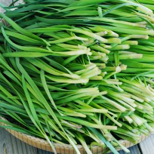 Gói 1g hạt giống hẹ cao sản