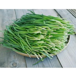 Gói 1g hạt giống hẹ cao sản Nhật Bản