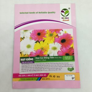 Gói 15 HẠT GIỐNG HOA CÚC ĐỒNG TIỀN NHIỀU MÀU