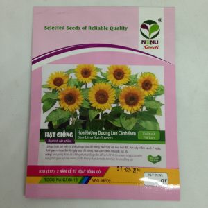 Gói 30 hạt giống Hoa Hướng Dương lùn Bambino - hoa hướng dương đẹp - hạt hoa tết dễ trồng - nảy mầm cực chuẩn - hạt trồng cho ra hoa tết nguyên đán 2020 - Nanuseeds - Thế Giới Rau Mầm Shop