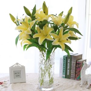 Combo 10 củ hoa ly lùn sẵn mầm 9 màu - Củ giống chuẩn nhập Hà Lan - cho hoa Tết Nguyên Đán sau 35-45 ngày