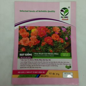 Gói 100 Hạt Giống Hoa Mười Giờ Nhiều Màu - Nanuseeds