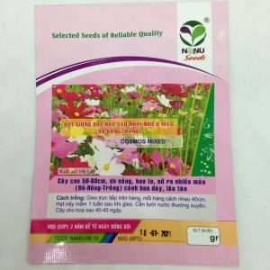 Gói 30 Hạt Giống Hoa Sao Nháy Nhiều Màu Đỏ - Hồng - Trắng- NanuSeeds