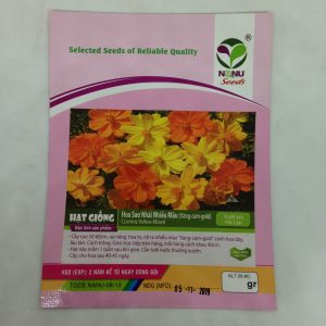 Gói 30 Hạt Giống Hoa Sao Nháy Nhiều Màu Vàng - Cam - Gold - Nanuseeds