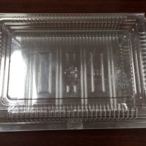 Hộp nhựa thực phẩm H55 (Block 100 cái)