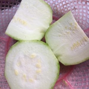 Cây giống Mướp Táo Đài Loan