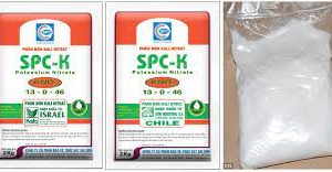 Gói 200gr KNO3 phân bón Kali Nirat