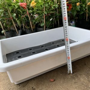 Khay trồng rau thông minh kích thước 690x430x150 (mm) màu trắng