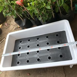 Khay trồng rau thông minh kích thước 690x430x150 (mm) màu trắng