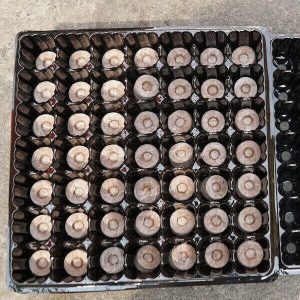 Combo 5 Khay ươm 49 lỗ chuyên dụng cho viên nén ươm hạt loai 1 dày, bền, đẹp