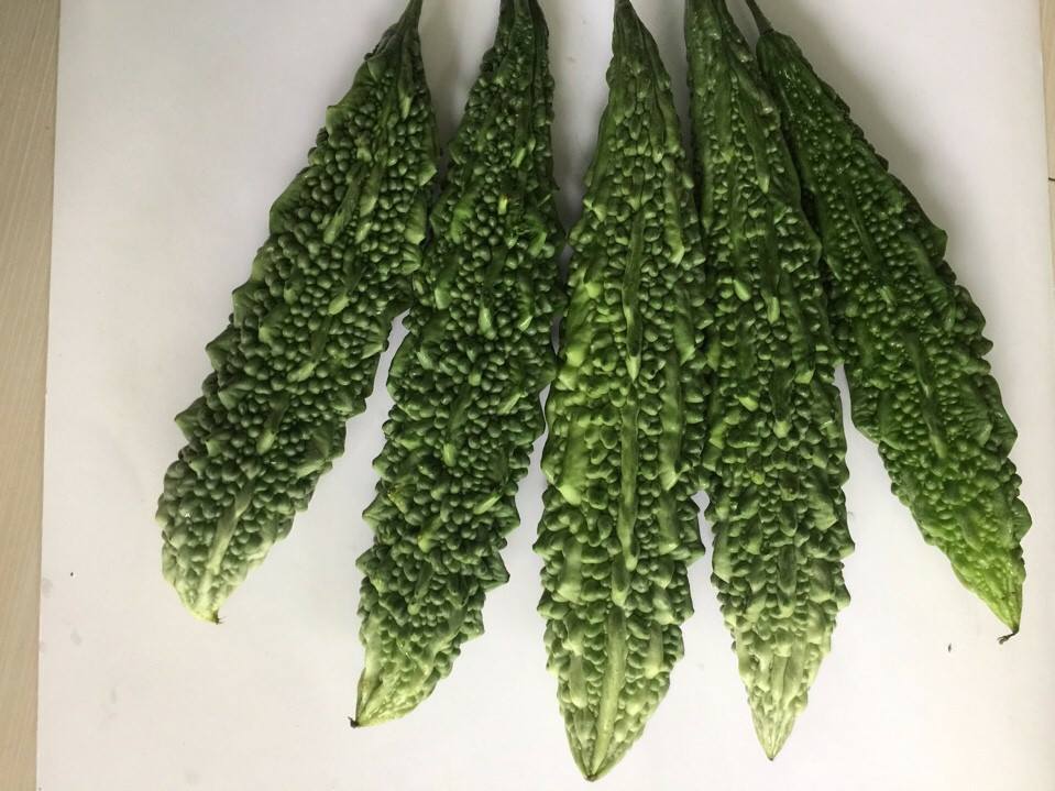 Gói 1g hạt giống khổ qua F1 - trái lớn xanh đậm